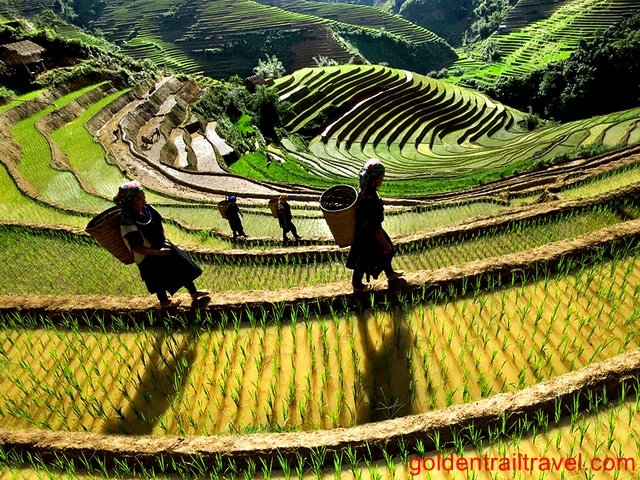 Lai Chau Biking Tour from Sapa 2 Days